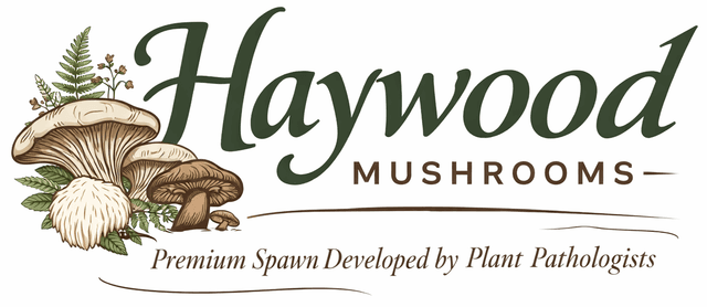 Haywood Mushrooms