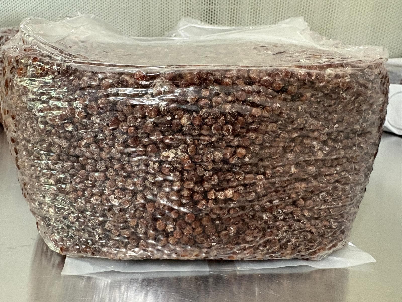 Sterile Milo/Sorghum Grain